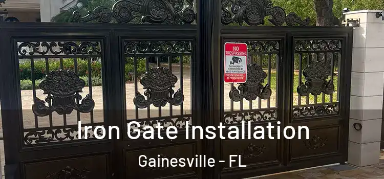  Iron Gate Installation Gainesville - FL